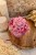 IMG_1174.jpeg