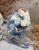 IMG_1609.jpeg