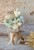 IMG_1673.jpeg