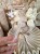 IMG_3564.jpeg