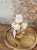 IMG_5938.jpeg