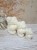 dek rose bear family 1.jpg